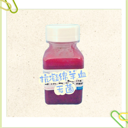 Ѫ޾ petƿװ-500ml