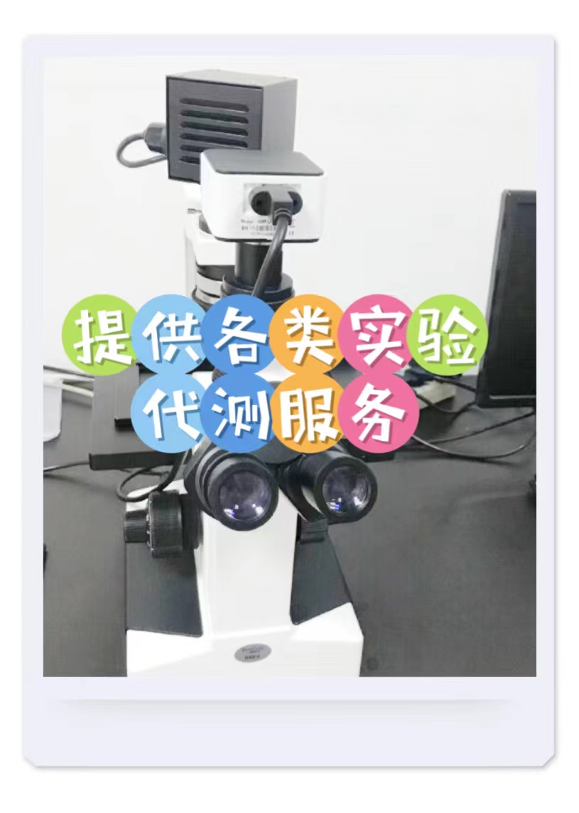 濹ԭ(HBsAgʵ