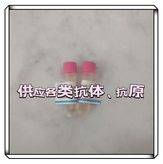 BIOTIN-С󿹼IgY(IgG)