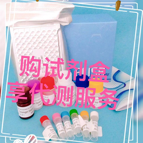 أSSELISAԼ
