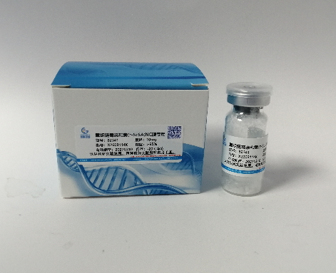  ������ù�׺���(r-ScSA)(NCĤר�ã�